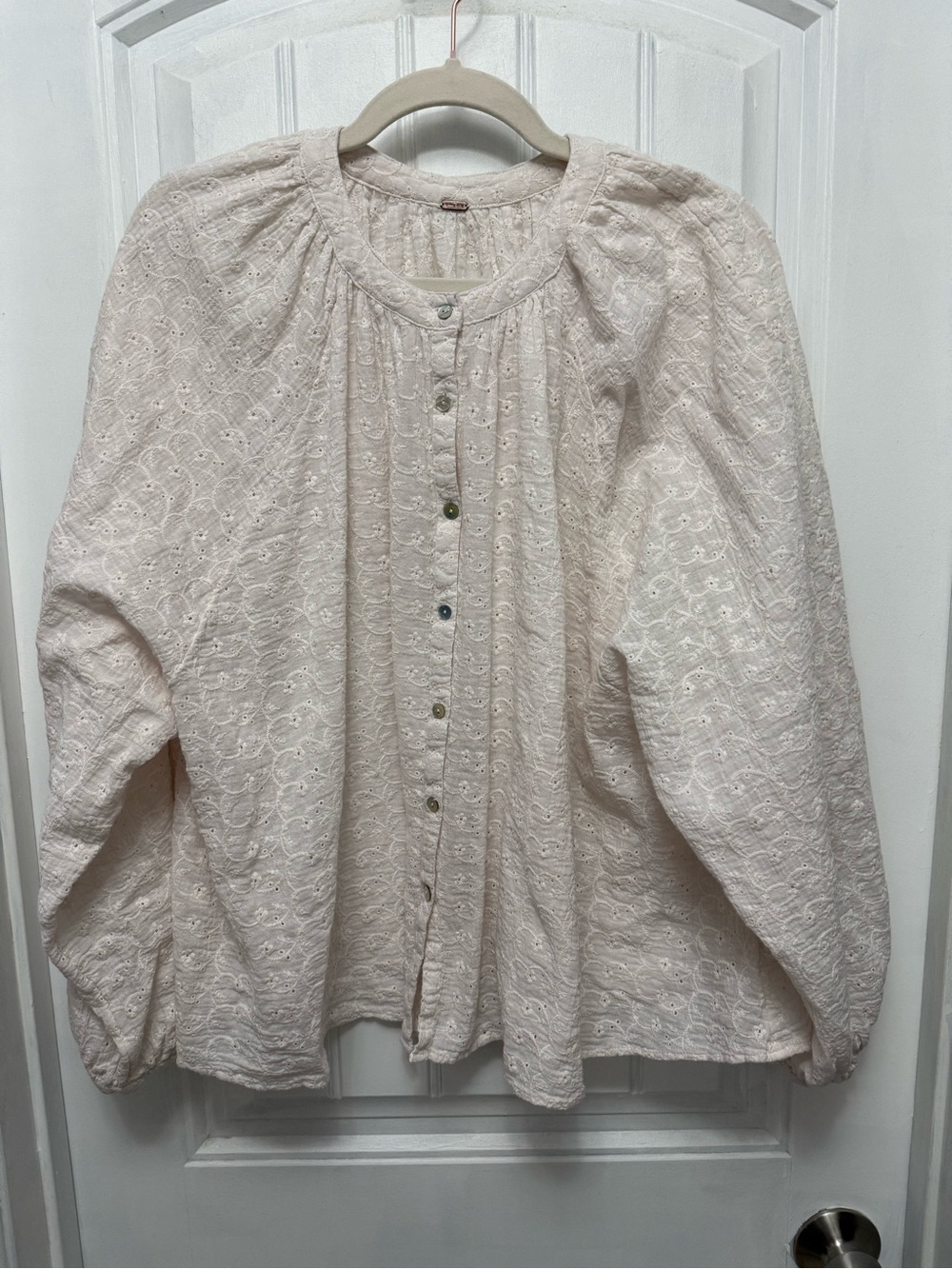 Free People Down From The Clouds Size XL Embroidered Eyelet Pink Blouse (46-16)